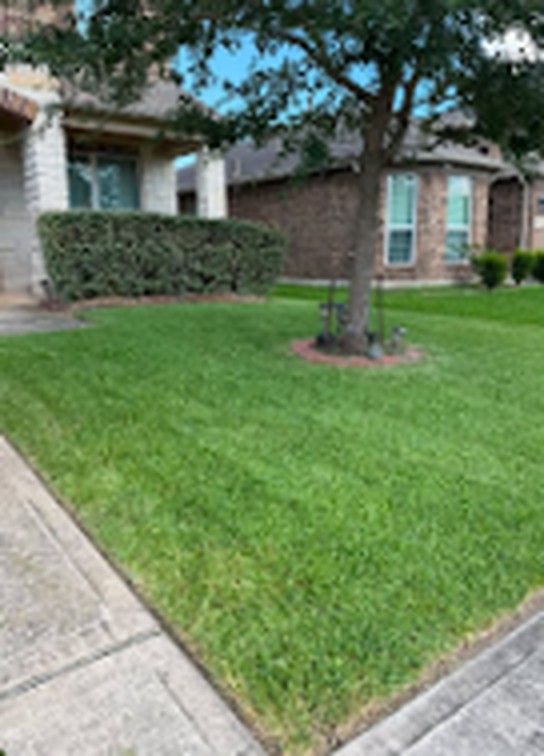 Freshly mowed and edged front lawn maintained by BMG Lawn Care
